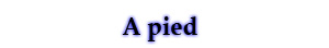 A pied